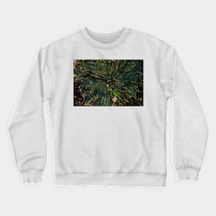 In the middle of the tree Crewneck Sweatshirt